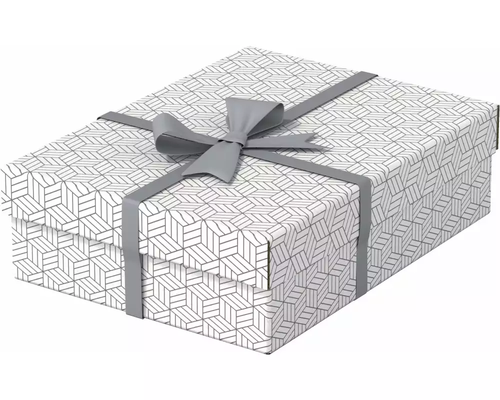 Leitz Aufbewahrungsbox Esselte Home M flach Mittel, 3 Stück, Weiss