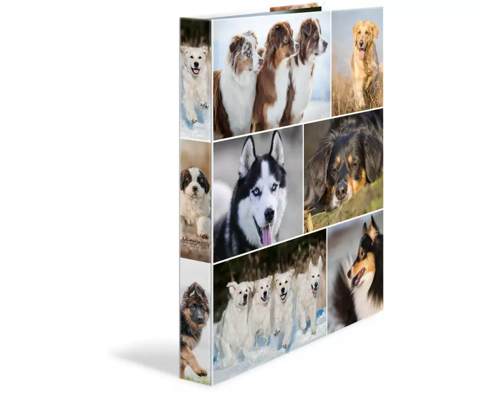 HERMA Ringbuch Hunde 2-Ring 3.5 cm