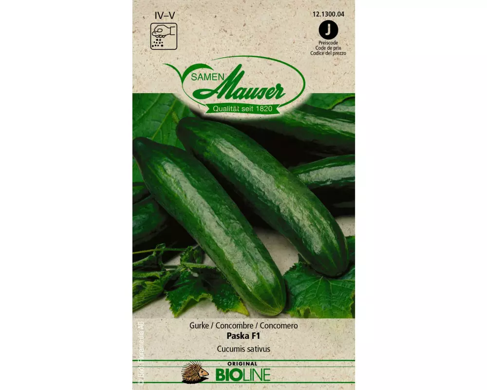 Samen Mauser Samen BIO Gurke Paska F1