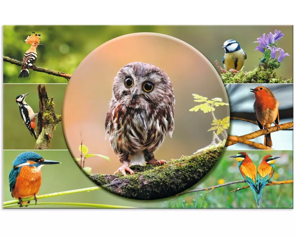 HERMA Schreibunterlage Heimatvögel 55 x 35 cm