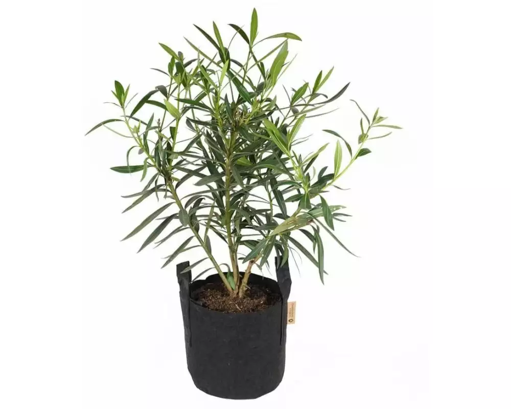 Gorilla Gardening Pflanzsack Schwarz