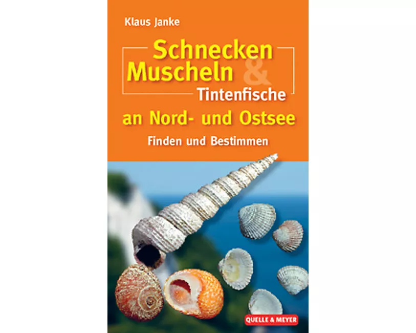 Schnecken, Muscheln & Tintenfische an Nord- und Ostsee