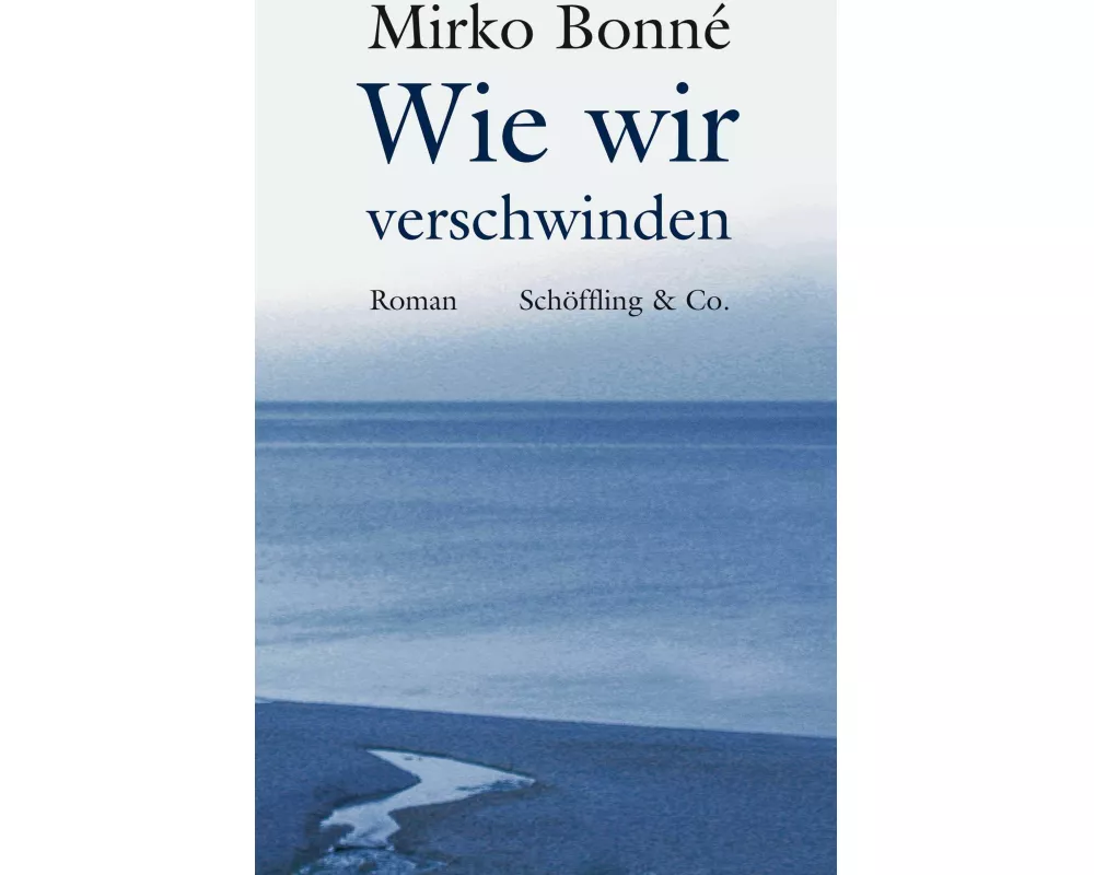 Wie wir verschwinden