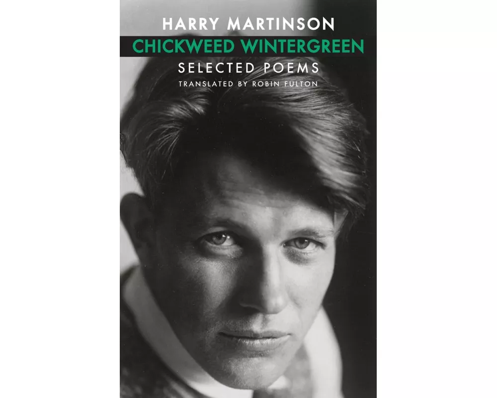 Chickweed Wintergreen