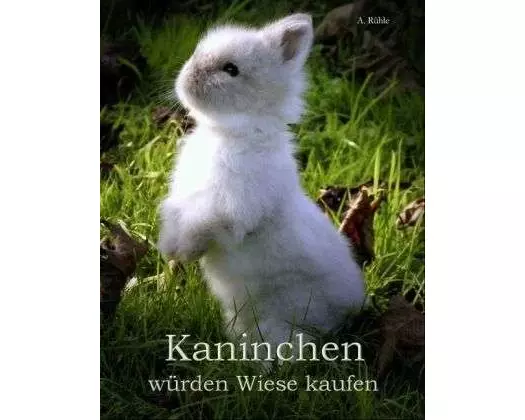 Kaninchen würden Wiese kaufen