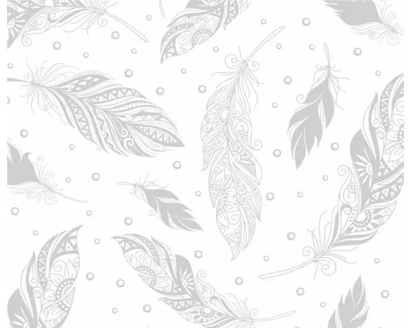 URSUS Zauberpapier 250 g/m2 10 Blatt, Weiss, Federn