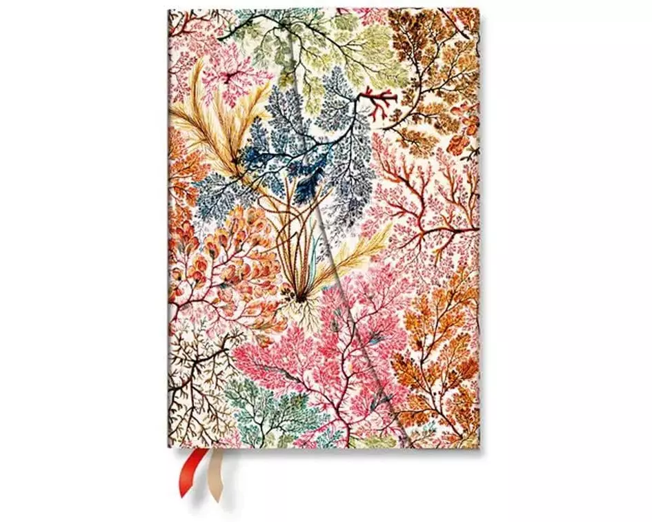 Paperblanks Wochenagenda Anemone 2027, Mehrfarbig