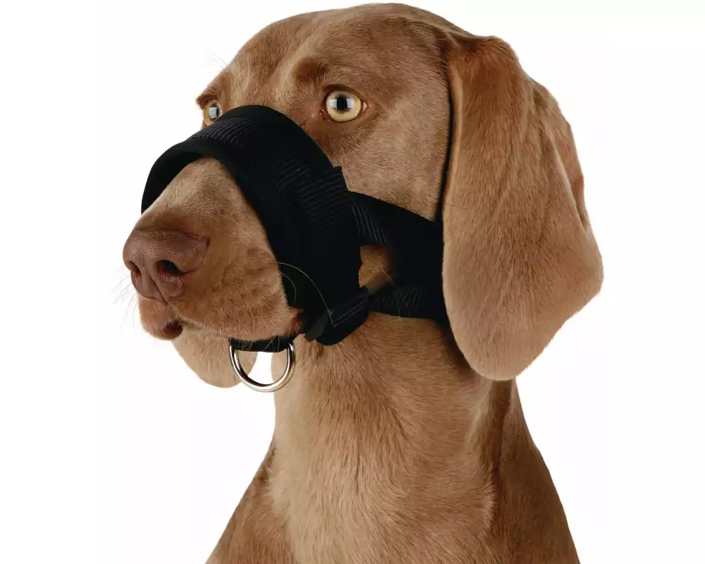 Trixie Maulschlaufe Nylon XL