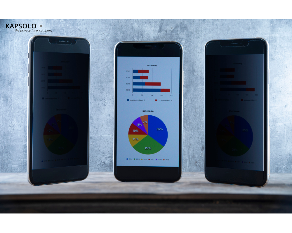 KAPSOLO 2-wege Blickschutzfilter KAP10867 Apple iPhone X