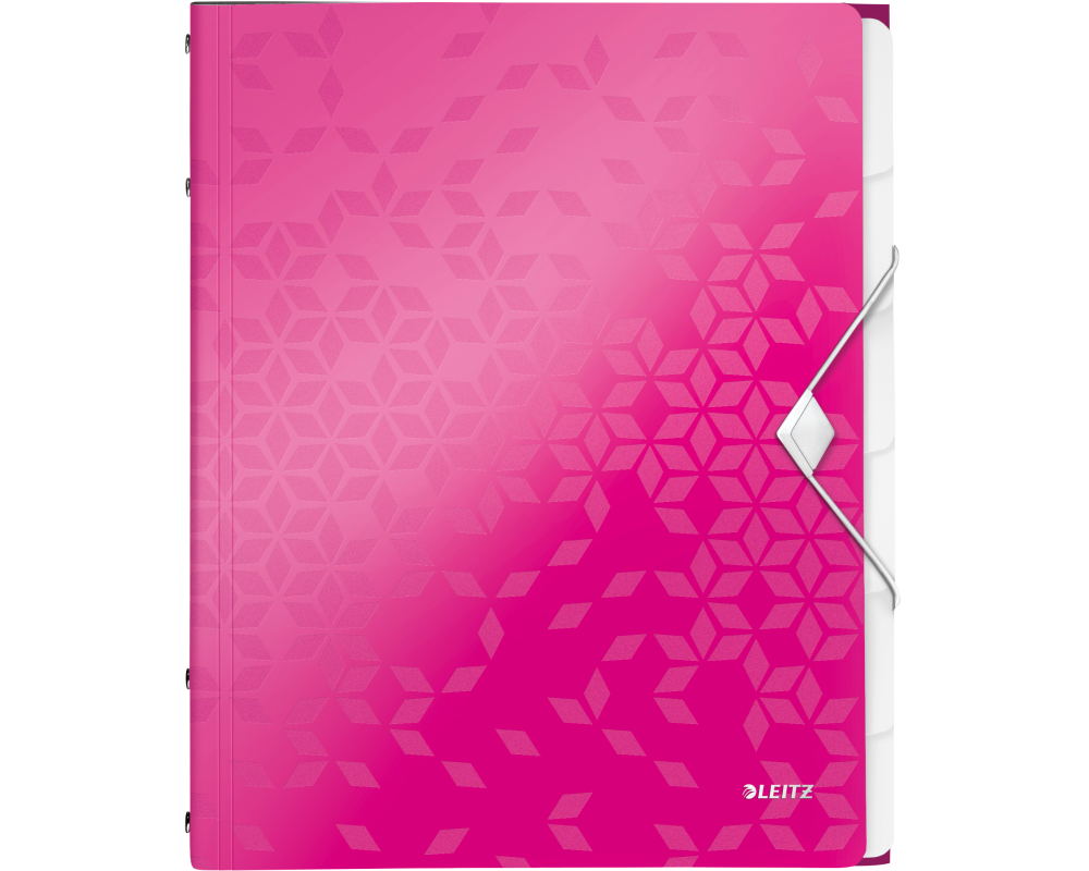 LEITZ Ordnungsmappe WOW PP A4 46330023 pink 6-teilig