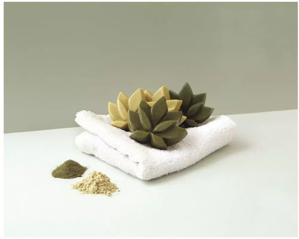 Graine Créative DIY-Set Shampoos mit Brennnessel- und Eibischpulver