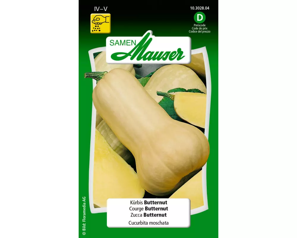 Samen Mauser Samen Kürbis Butternut