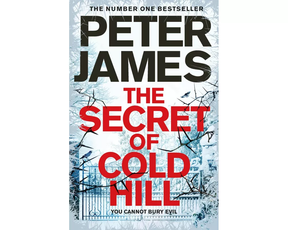 The Secret of Cold Hill