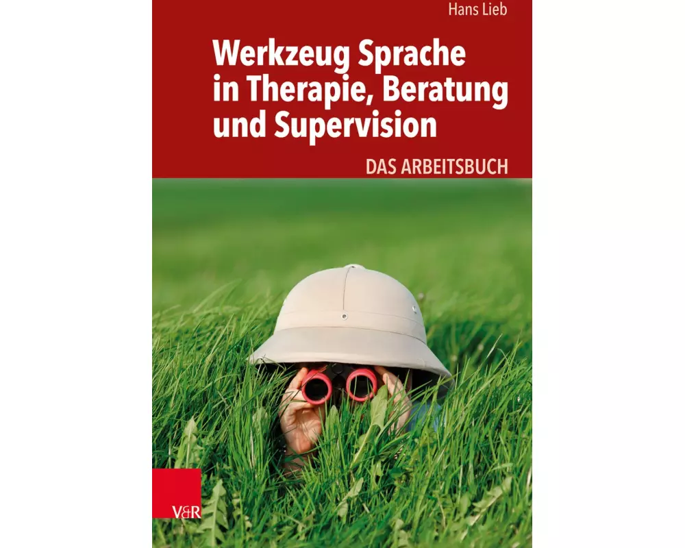 Werkzeug Sprache in Therapie, Beratung und Supervision