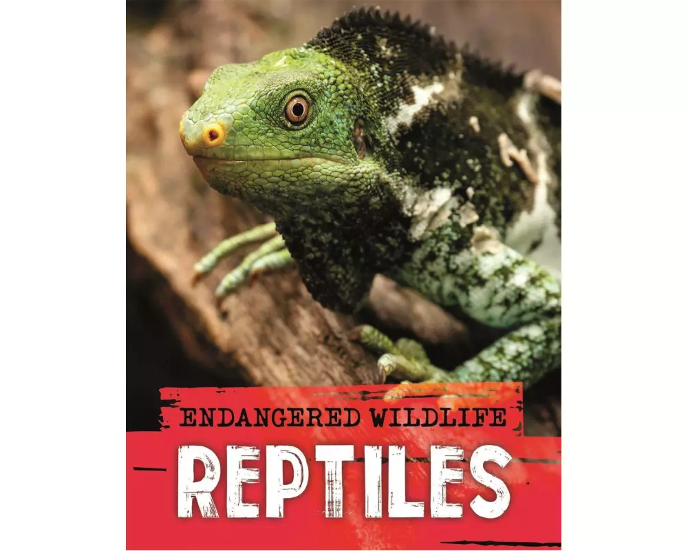 Endangered Wildlife: Rescuing Reptiles