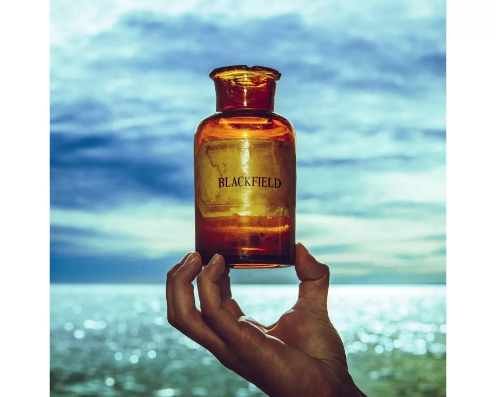 Blackfield V