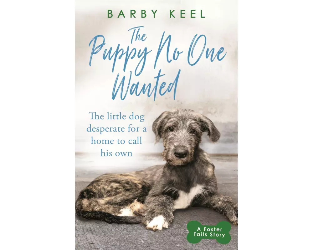 The Puppy No One Wanted