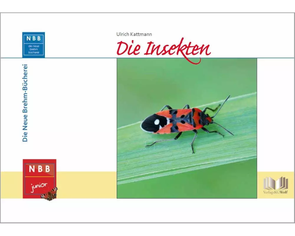 Die Insekten