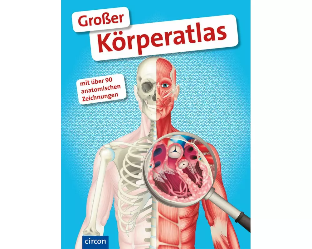Großer Körperatlas