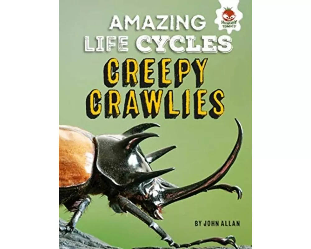 Amazing Life Cycles-Minibeasts