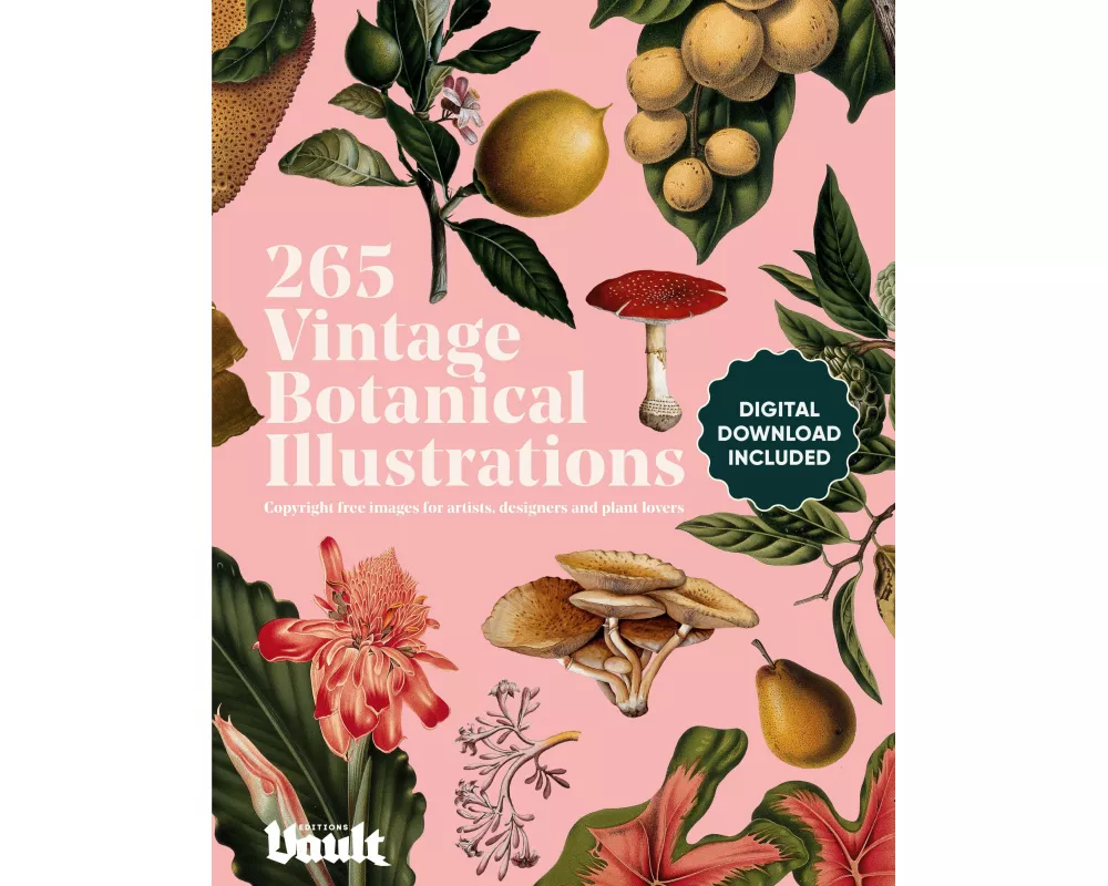 Vintage Botanical Illustration