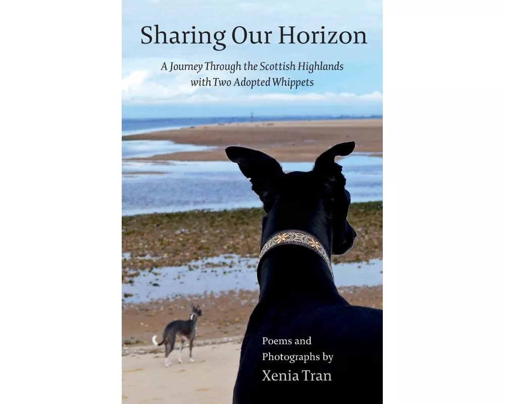Sharing Our Horizon