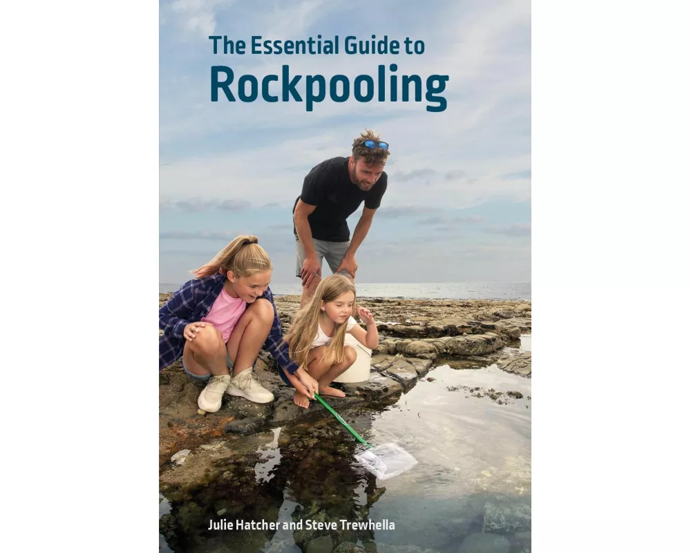The Essential Guide to Rockpooling