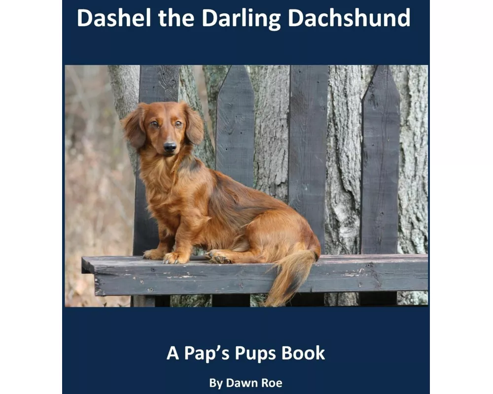 Dashel the Darling Dachshund
