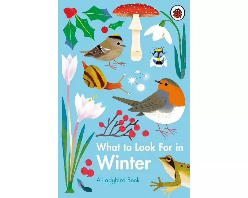 What To Look For In Winter