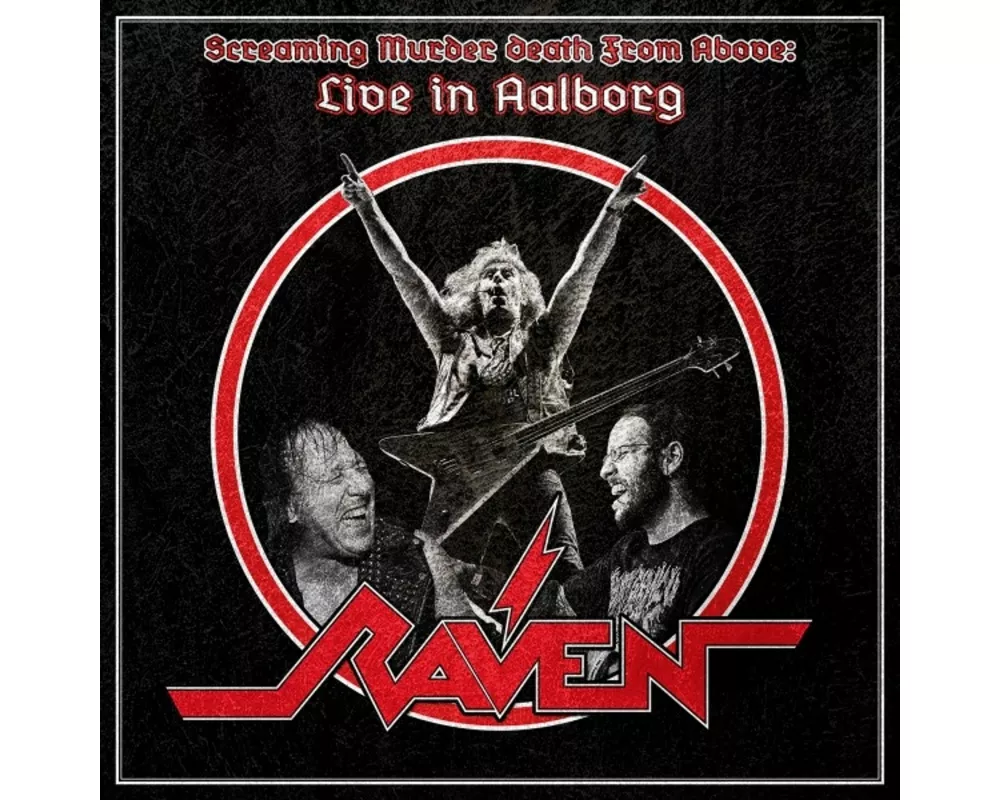 Screaming Murder Death From Above: Live in Aalborg