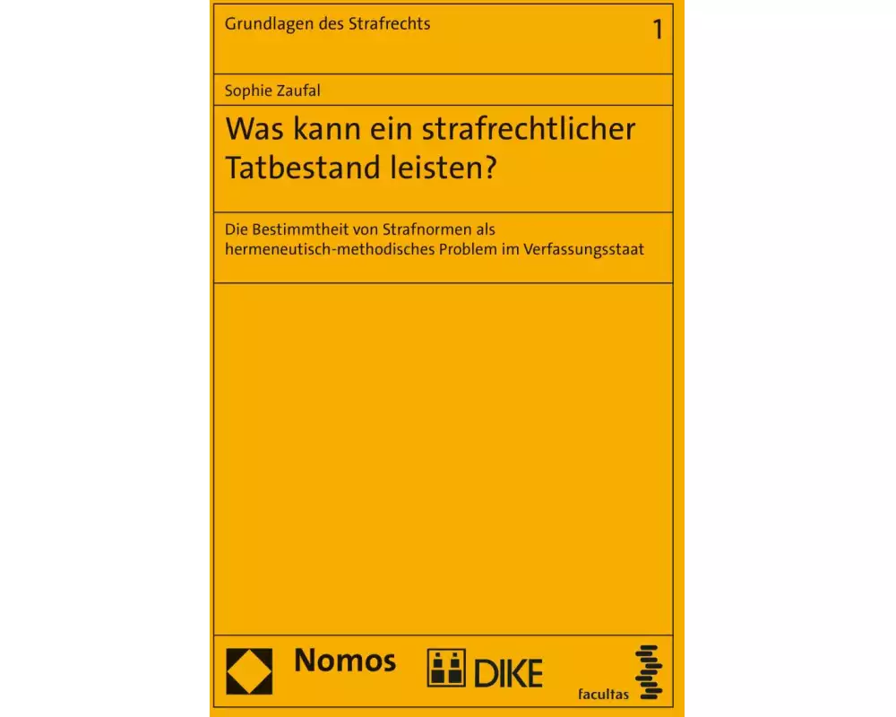 Was kann ein strafrechtlicher Tatbestand leisten?
