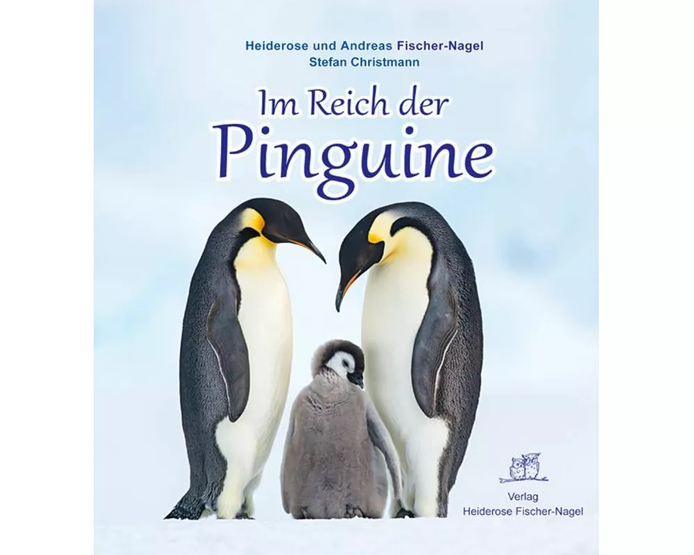 Im Reich der Pinguine
