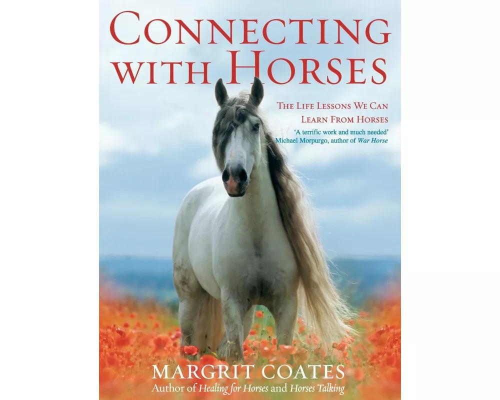 Connecting with Horses