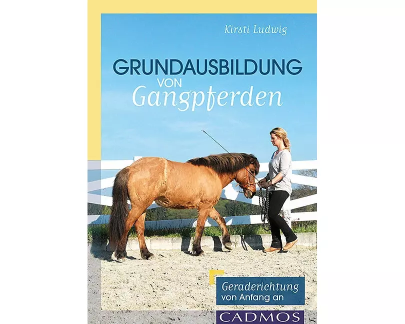 Grundausbildung von Gangpferden