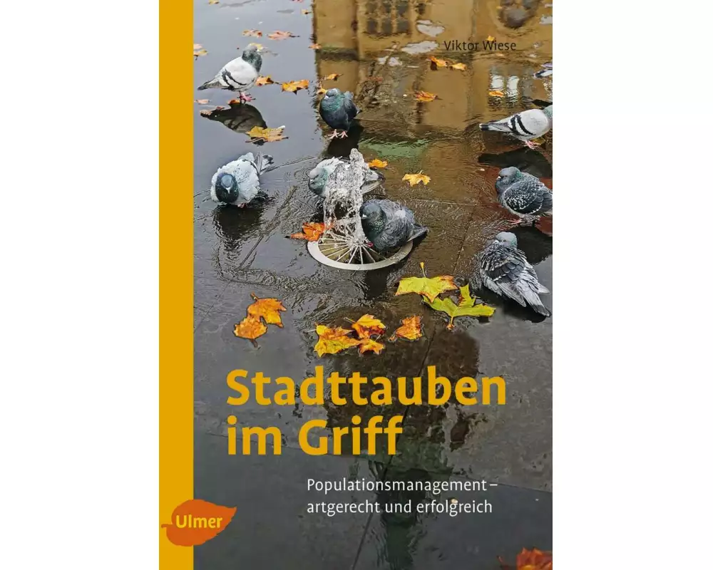 Stadttauben im Griff