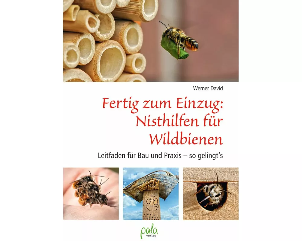 Fertig zum Einzug: Nisthilfen für Wildbienen