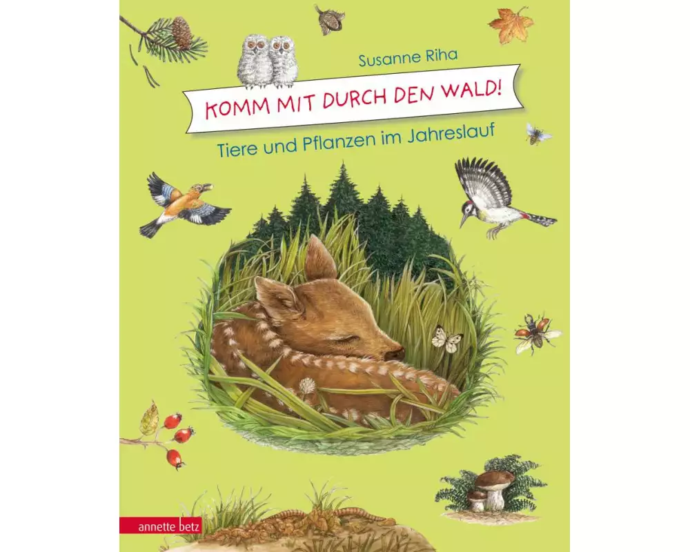Komm mit durch den Wald