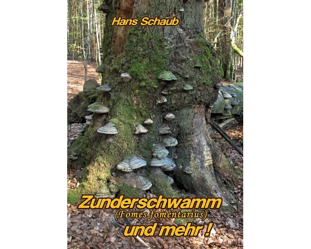 Zunderschwamm und mehr