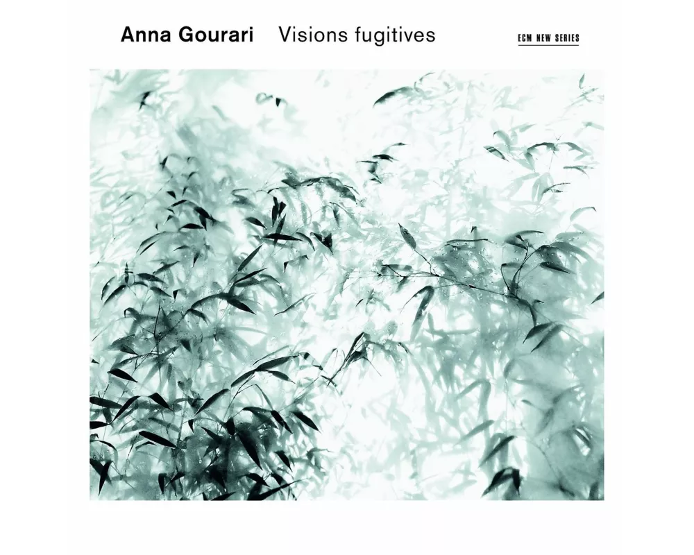 Visions Fugitives