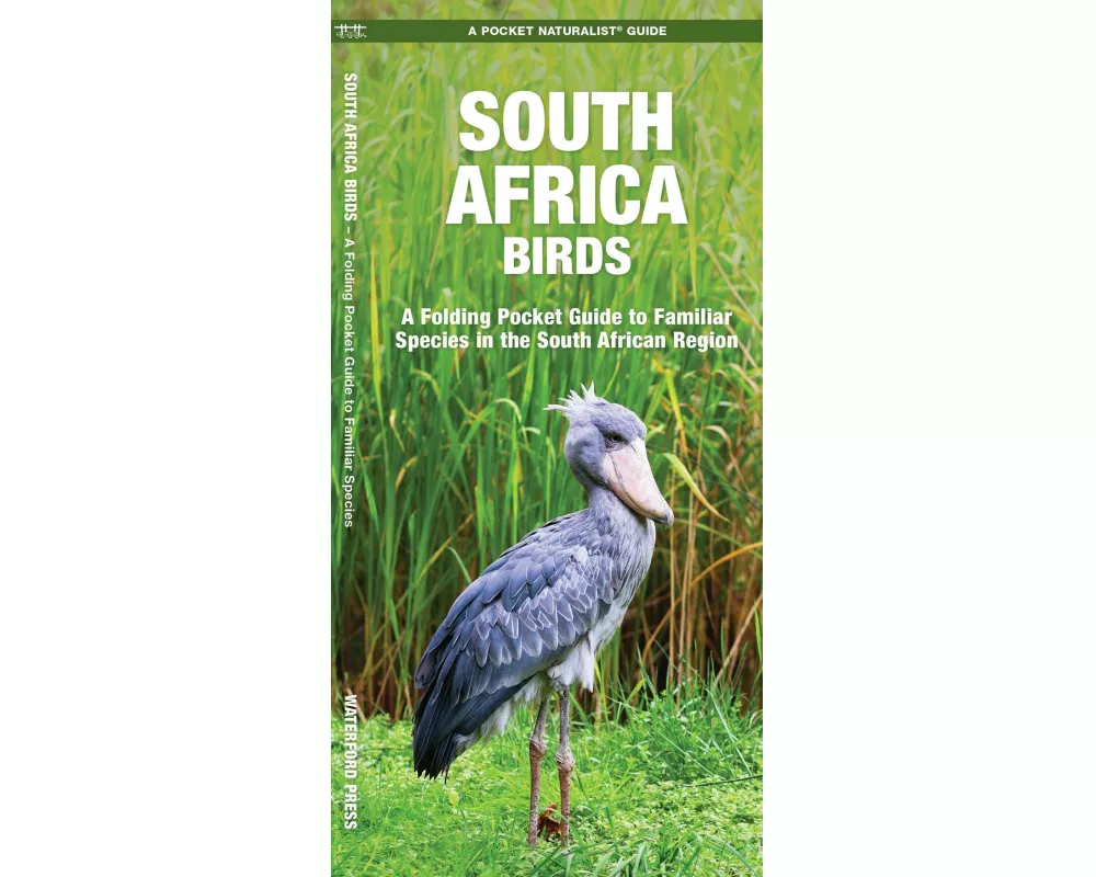 South Africa Birds