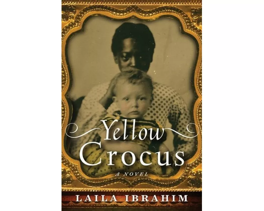 Yellow Crocus