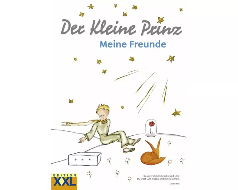Der Kleine Prinz. Meine Freunde