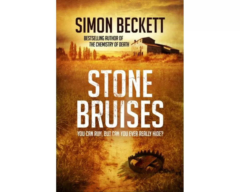 Stone Bruises