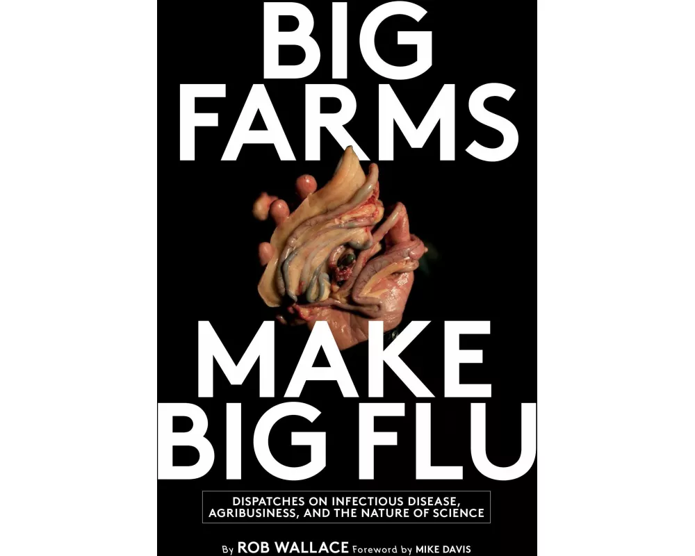Big Farms Make Big Flu