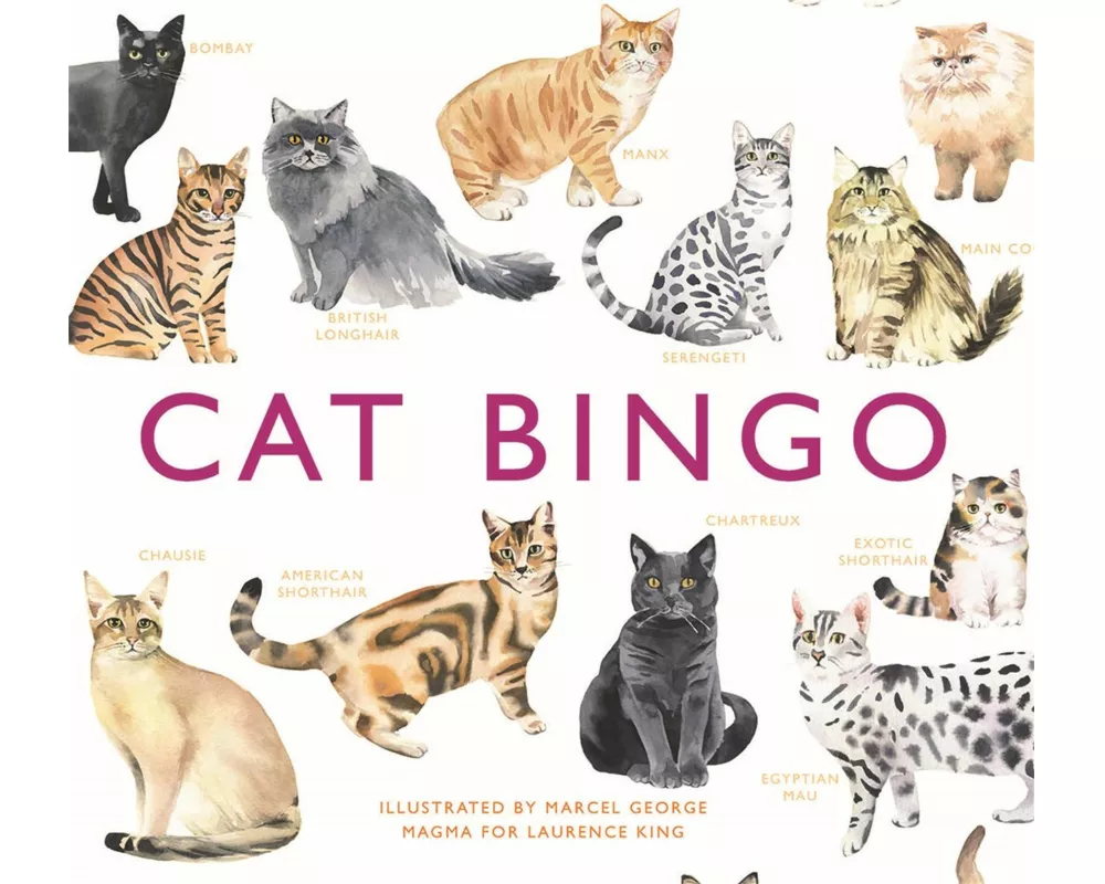 Cat Bingo
