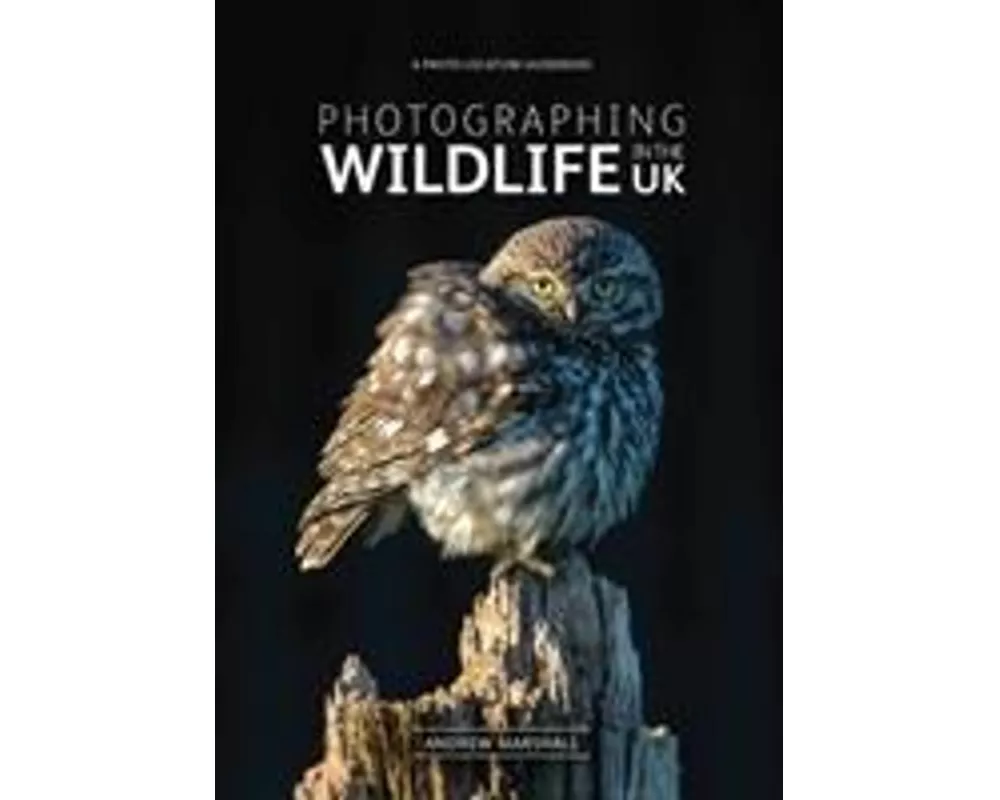 Photographing Wildlife in the UK