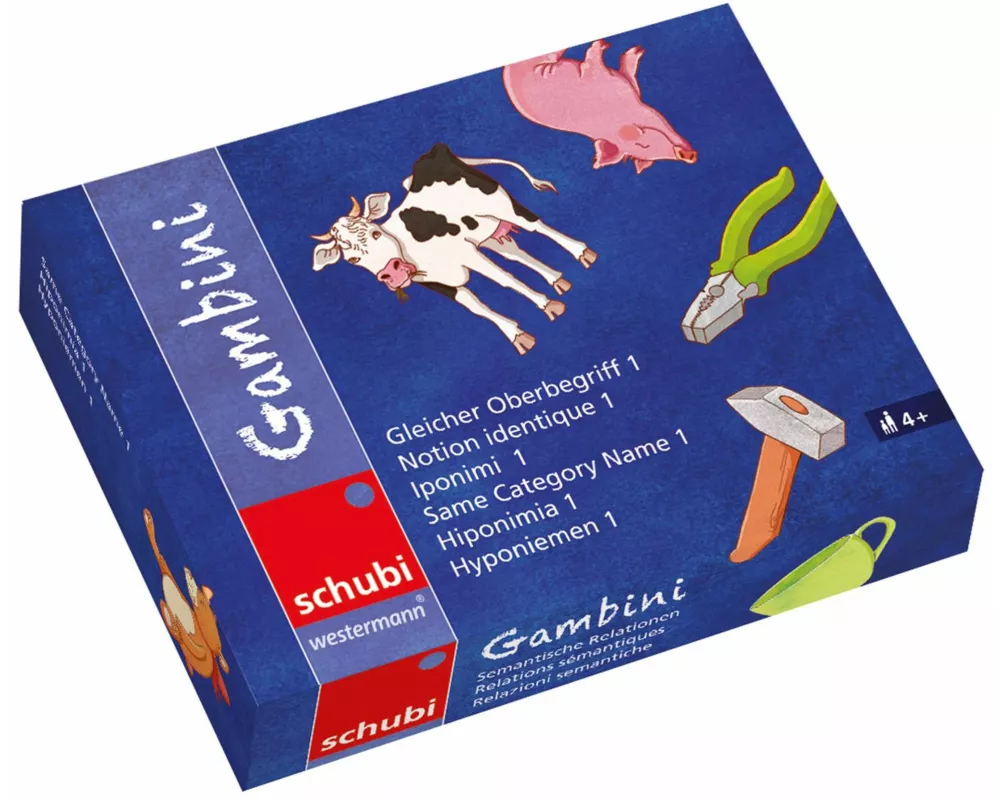 Gambini Gleicher Oberbegriff 1