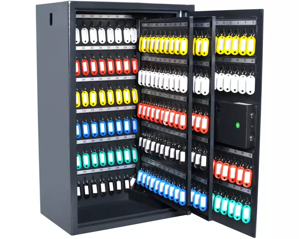Pavo Schlüsselsafe Advanced 300 Haken, Grau