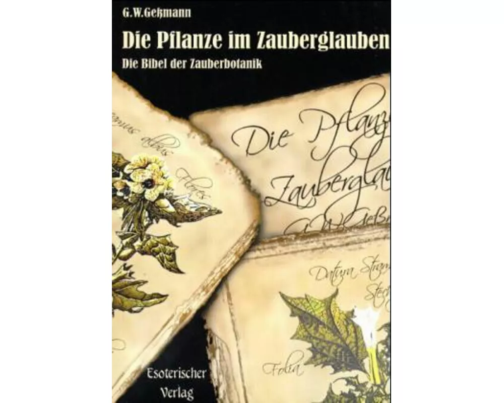 Die Pflanze im Zauberglauben