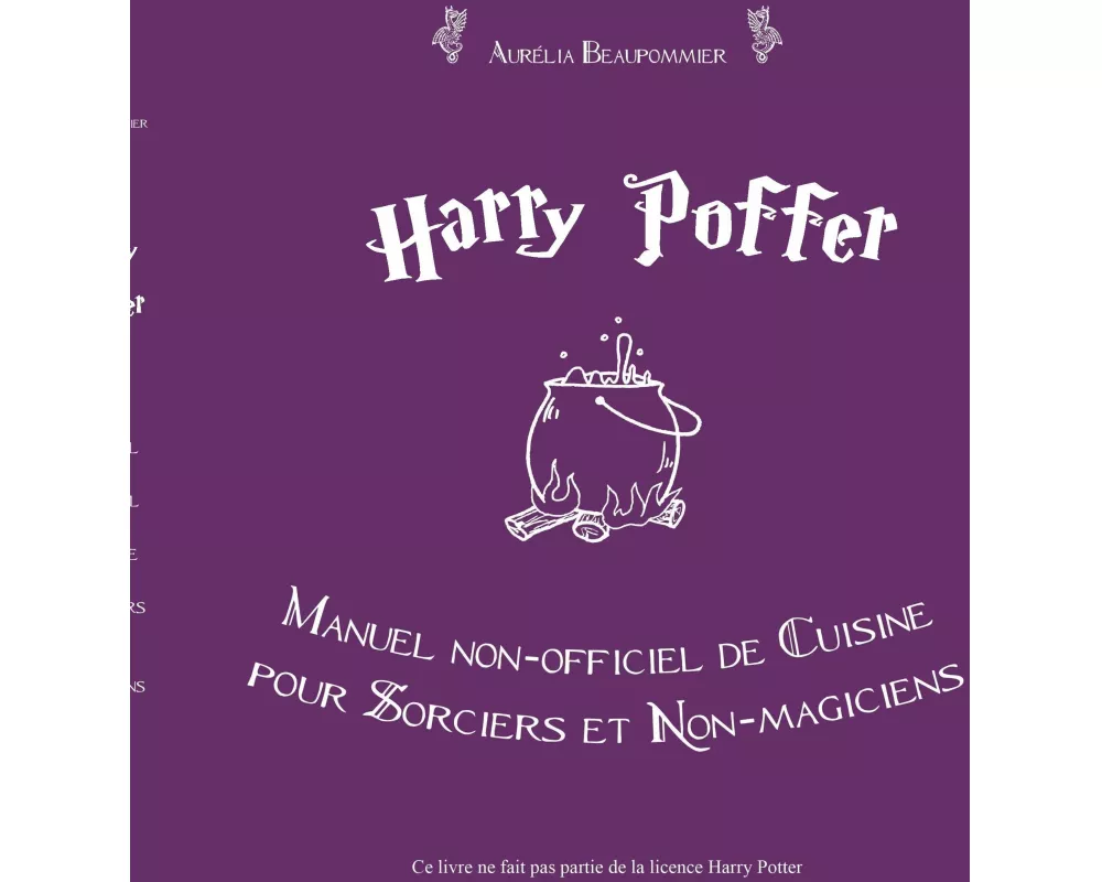 Harry Poffer Manuel non officiel de cuisine pour sorciers et non-magiciens